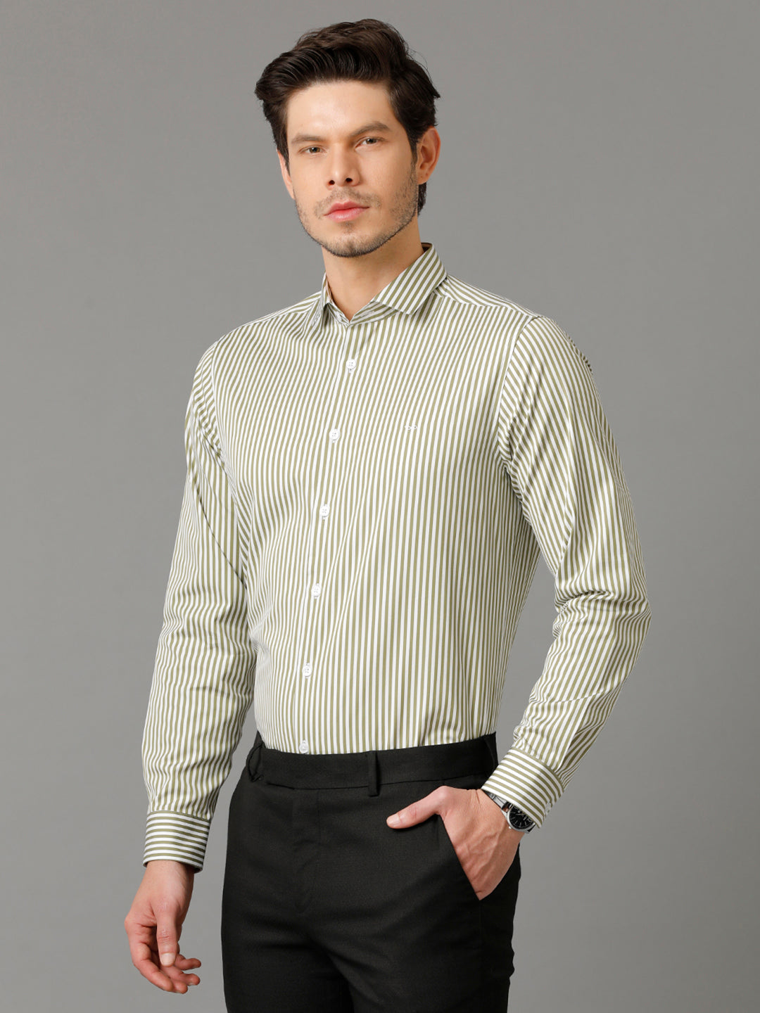Aldeno Mens Regular Fit Vertical Stripes Green Casual Cotton Shirt (CASS)